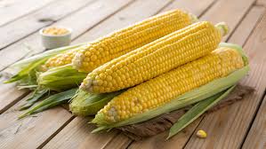 Maize (Yellow Corn)